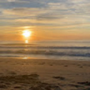 Meet your Posher, Roxi